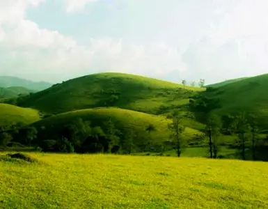 Kerala Backwater Tour